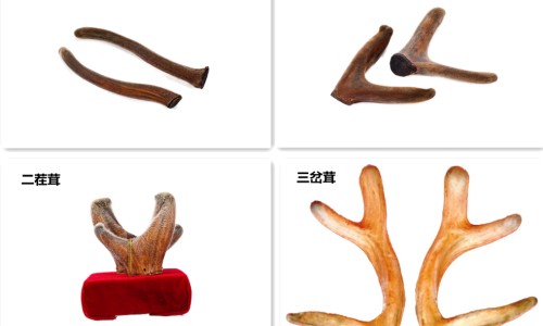 艾滋病患者身上会有红点吗-艾滋病身上是发红的吗网 - 为你提供艾滋病身上会出现红斑吗、艾滋病是全身起红点还是局部起红点
