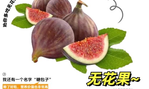 艾滋病身上全身都是红点吗-艾滋病身上是发红的吗网 - 为你提供艾滋病身上会出现红斑吗、艾滋病是全身起红点还是局部起红点